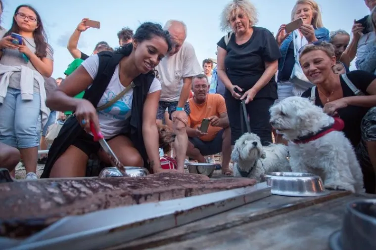 U ovom plivačkom natjecanju glavnu ulogu su imali psi