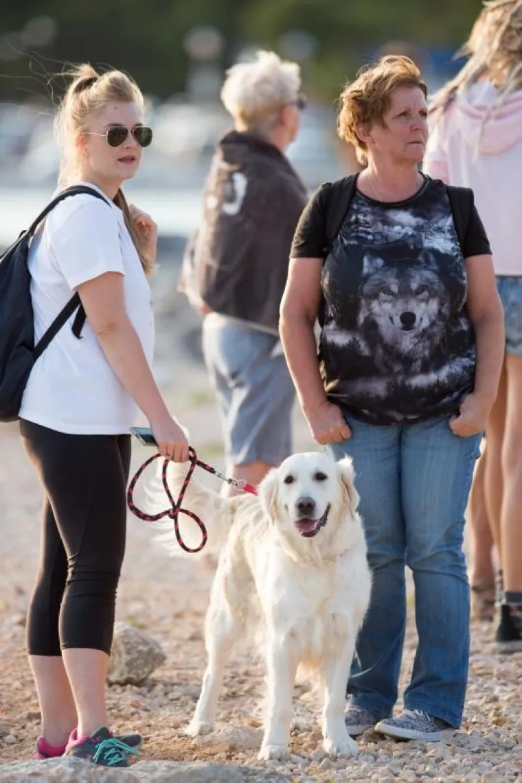 U ovom plivačkom natjecanju glavnu ulogu su imali psi