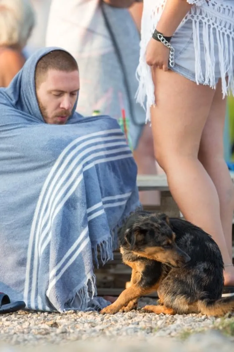 U ovom plivačkom natjecanju glavnu ulogu su imali psi