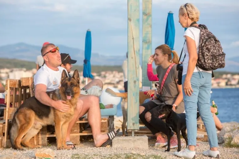 U ovom plivačkom natjecanju glavnu ulogu su imali psi