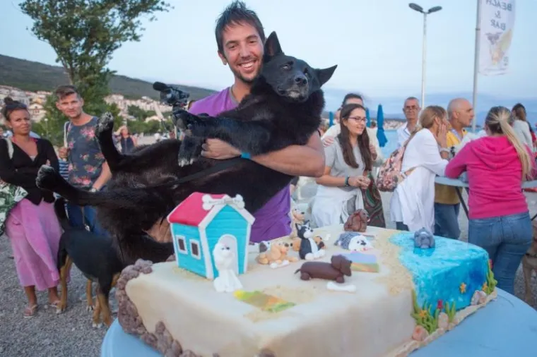 U ovom plivačkom natjecanju glavnu ulogu su imali psi