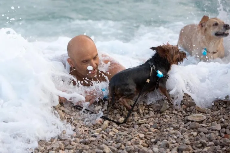 U ovom plivačkom natjecanju glavnu ulogu su imali psi