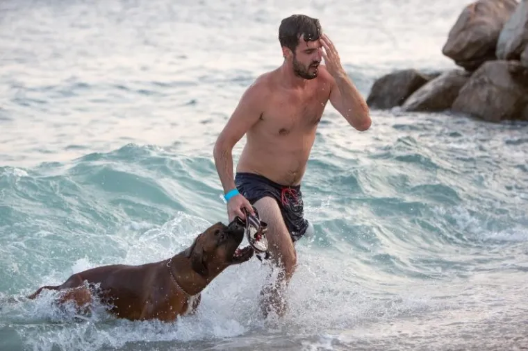 U ovom plivačkom natjecanju glavnu ulogu su imali psi