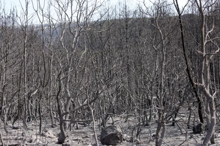 BORBA HRABRIH VATROGASACA: Nakon naporne noći odmaraju se i pripremaju za jo&scaron; jedan dan ga&scaron;enja požara u Dalmaciji