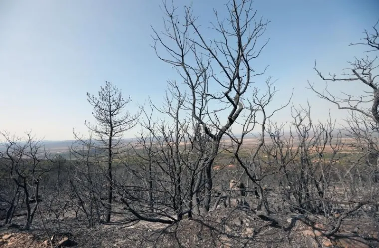 BORBA HRABRIH VATROGASACA: Nakon naporne noći odmaraju se i pripremaju za jo&scaron; jedan dan ga&scaron;enja požara u Dalmaciji
