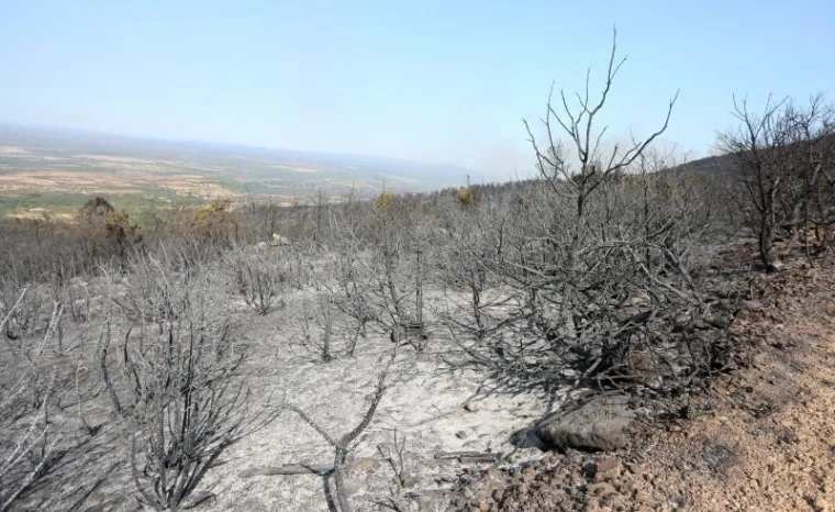 Izgled opožarenog terena oko Li&scaron;njaka nakon jučera&scaron;njeg i noća&scaron;njeg požara.