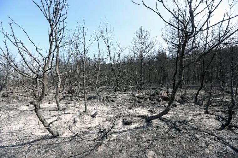 BORBA HRABRIH VATROGASACA: Nakon naporne noći odmaraju se i pripremaju za jo&scaron; jedan dan ga&scaron;enja požara u Dalmaciji