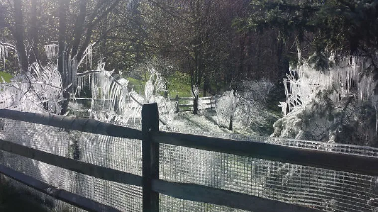 Susjedi su ostavili vrtne prskalice uključene preko noći i sada uživaju u Narniji.