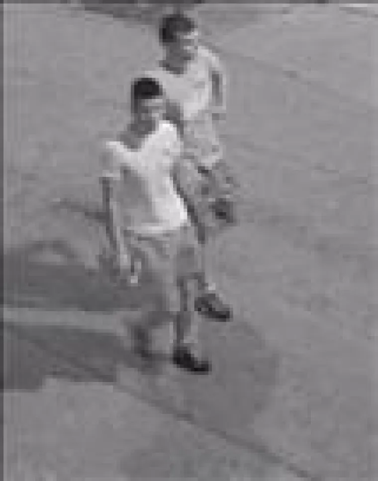 Policija objavila fotografije osoba koje su napale Bugare u Zadru i zapalili im BMW