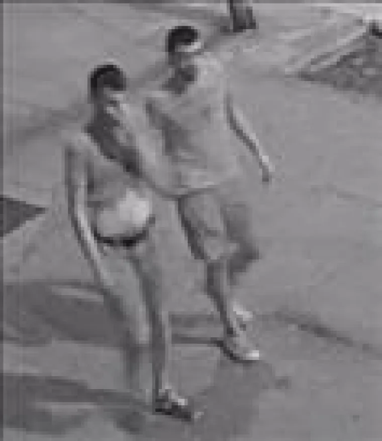 Policija objavila fotografije osoba koje su napale Bugare u Zadru i zapalili im BMW