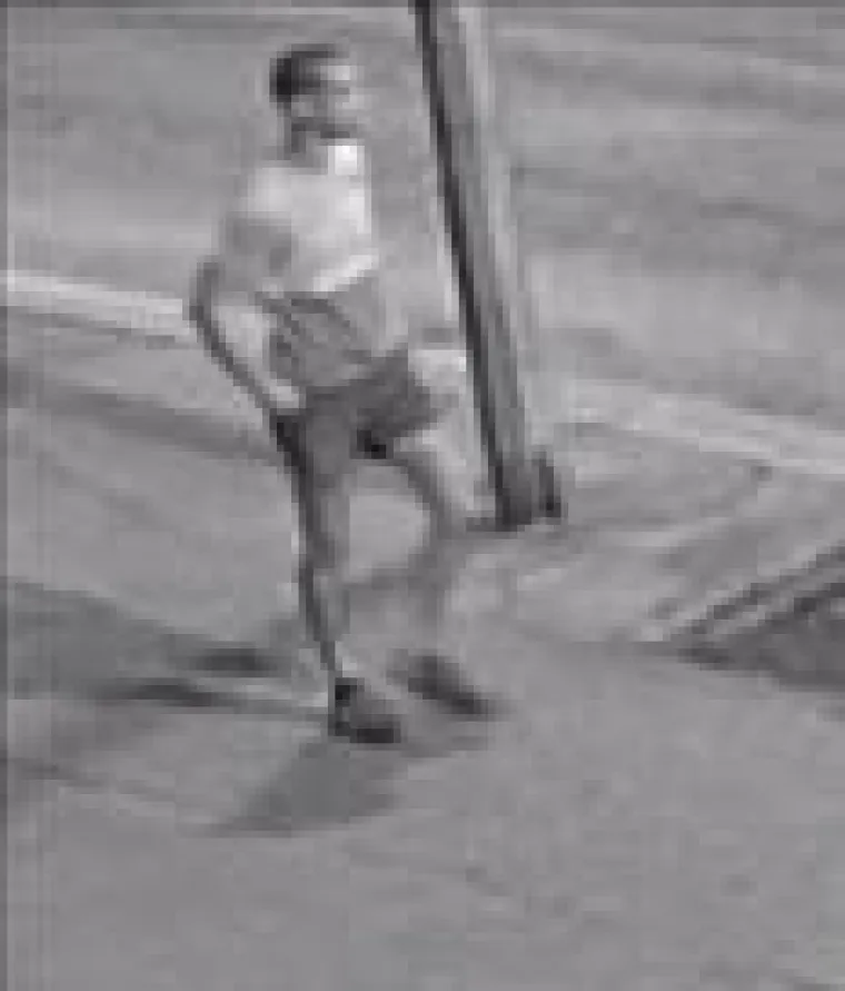 Policija objavila fotografije osoba koje su napale Bugare u Zadru i zapalili im BMW