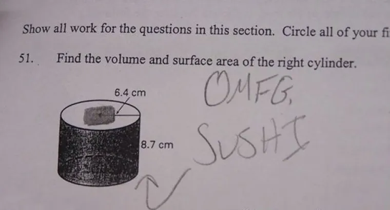 KADA JE NA SATU PREDOSADNO: Ovi su crteži u &scaron;kolskim knjigama toliko dobri da opravdavaju zabu&scaron;avanje