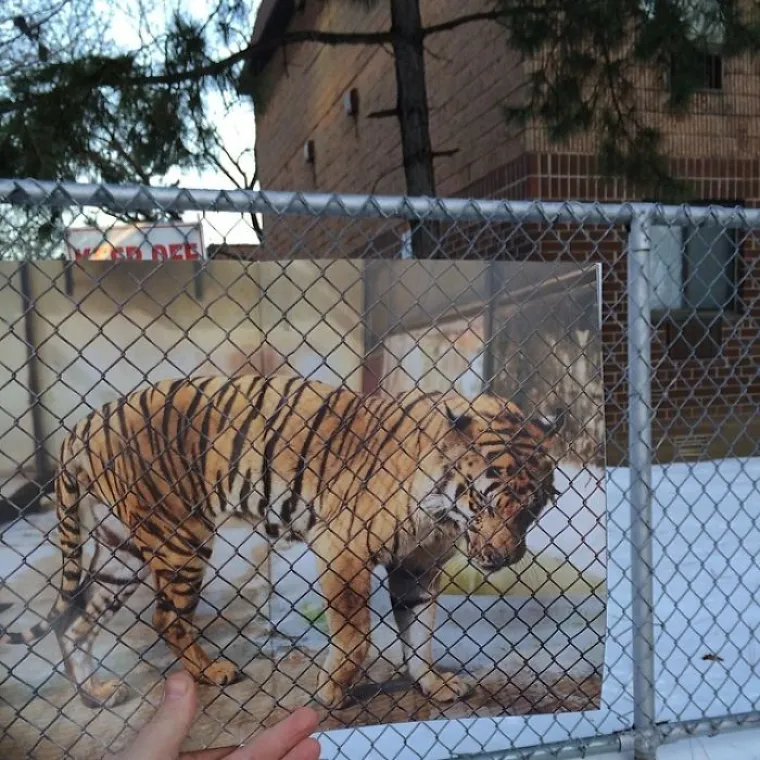 GOLOGUZI POLICAJCI I EKSCENTRIČNI PROLAZNICI: Svakodnevne situacije spojio s izrescima iz novina i nasmijao javnost