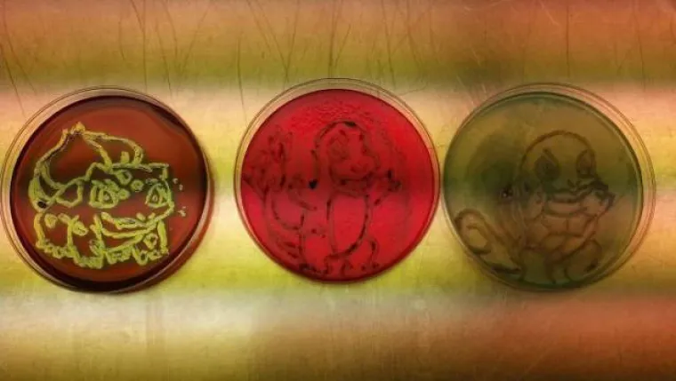 UMIRALI OD DOSADE NA POSLU PA PODUZELI NE&Scaron;TO: Ljudi postanu stvarno kreativni kad im se ne da raditi