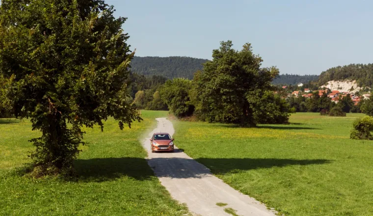 GALERIJA TO POTVRĐUJE: Uvjerite se sami, Fiesta će nastaviti nizati dobre prodajne rezultate