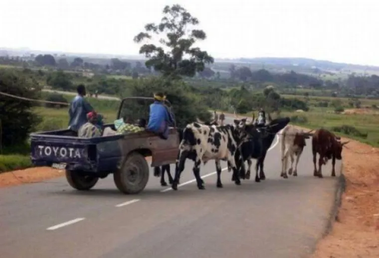 ZABORAVLJENI KONTINENT PUN JE BIZARNIH PRIZORA: Rusija i Japan imaju veliku konkurenciju u afričkim zemljama