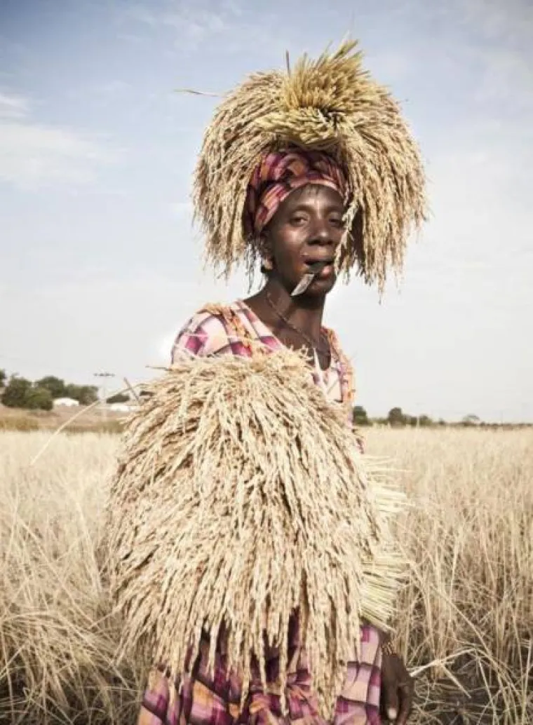 ZABORAVLJENI KONTINENT PUN JE BIZARNIH PRIZORA: Rusija i Japan imaju veliku konkurenciju u afričkim zemljama