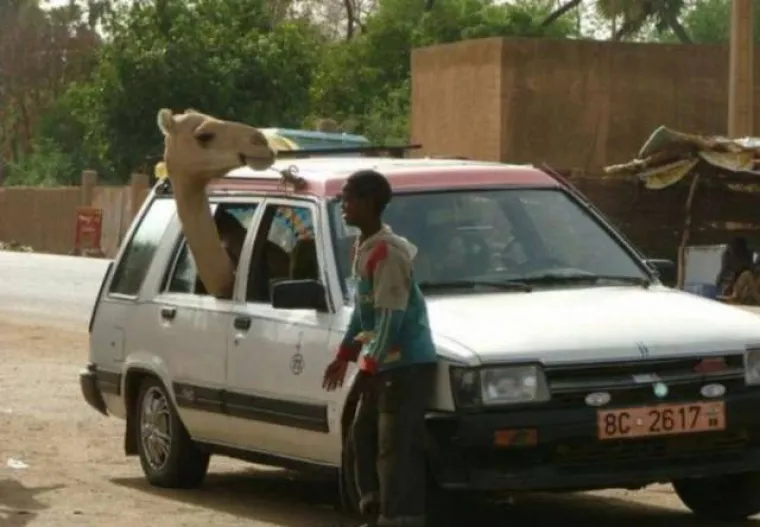 ZABORAVLJENI KONTINENT PUN JE BIZARNIH PRIZORA: Rusija i Japan imaju veliku konkurenciju u afričkim zemljama