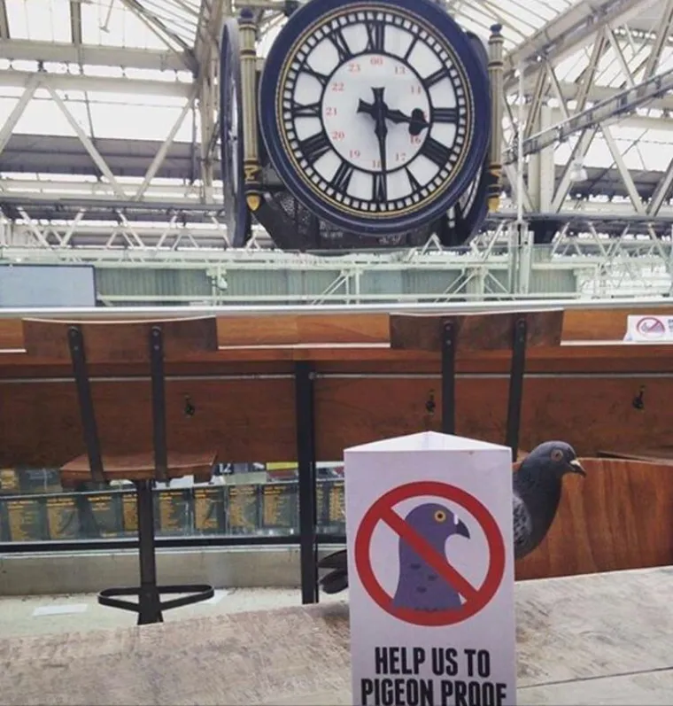 BUNTOVNICI BEZ RAZLOGA: Ni James Dean nije kr&scaron;io pravila s ovoliko stila