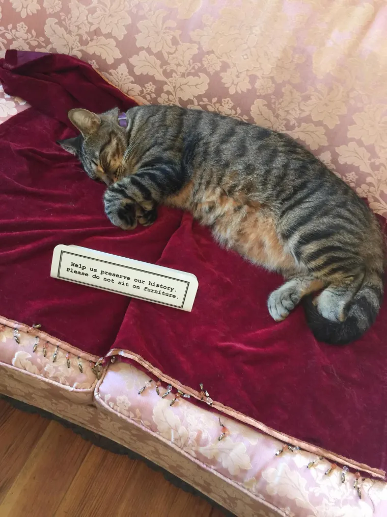 BUNTOVNICI BEZ RAZLOGA: Ni James Dean nije kr&scaron;io pravila s ovoliko stila