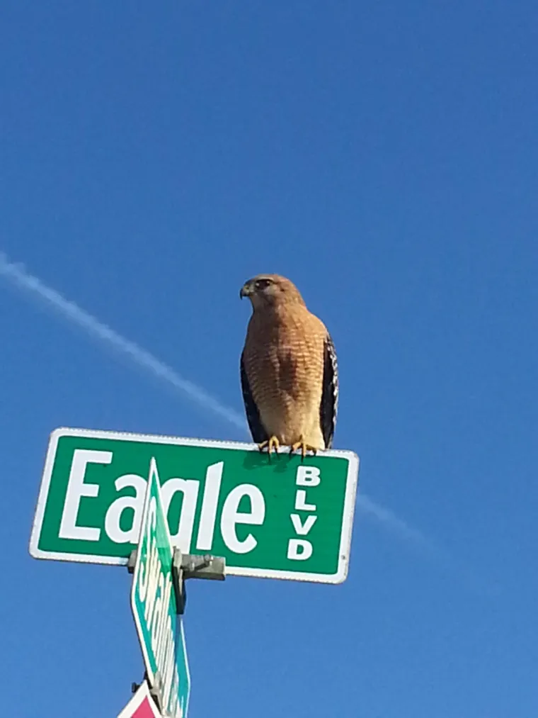 BUNTOVNICI BEZ RAZLOGA: Ni James Dean nije kr&scaron;io pravila s ovoliko stila