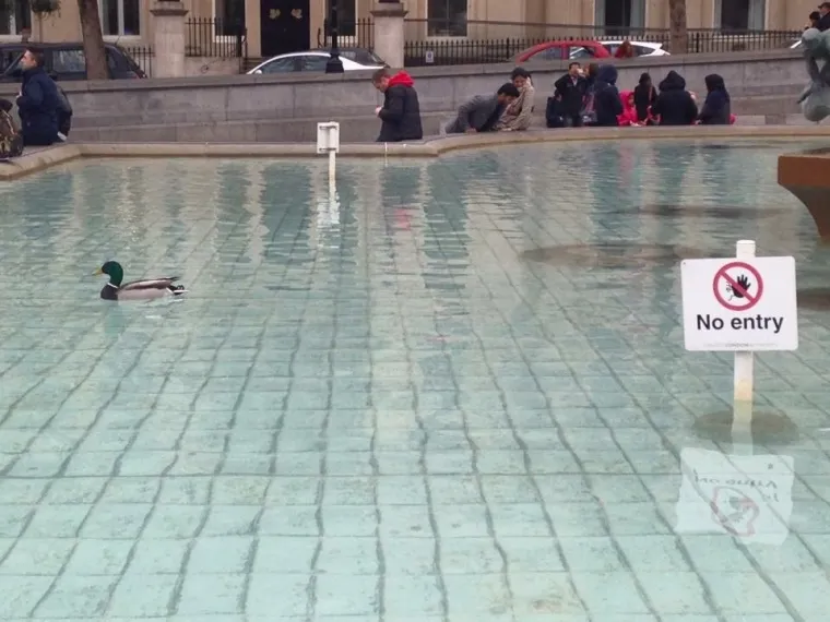 BUNTOVNICI BEZ RAZLOGA: Ni James Dean nije kr&scaron;io pravila s ovoliko stila