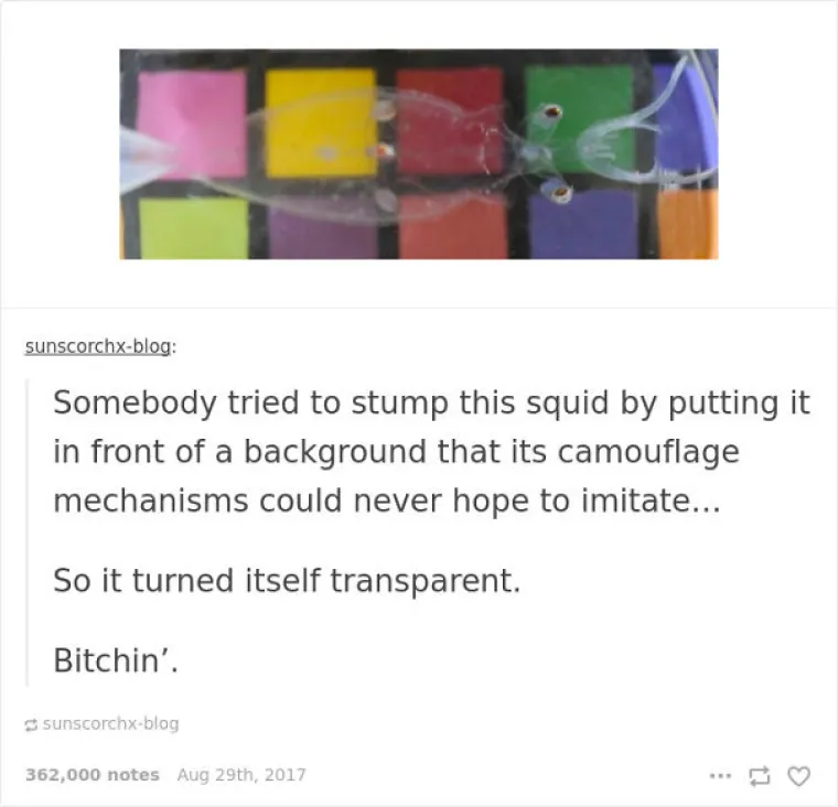 BUNTOVNICI BEZ RAZLOGA: Ni James Dean nije kr&scaron;io pravila s ovoliko stila