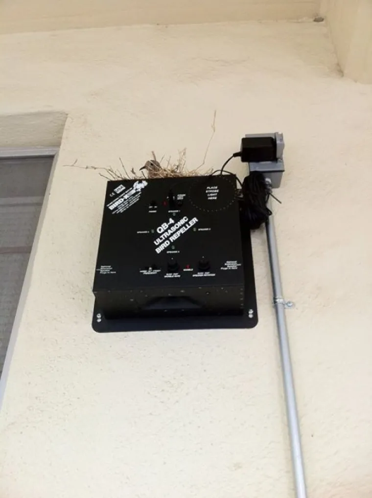 BUNTOVNICI BEZ RAZLOGA: Ni James Dean nije kr&scaron;io pravila s ovoliko stila