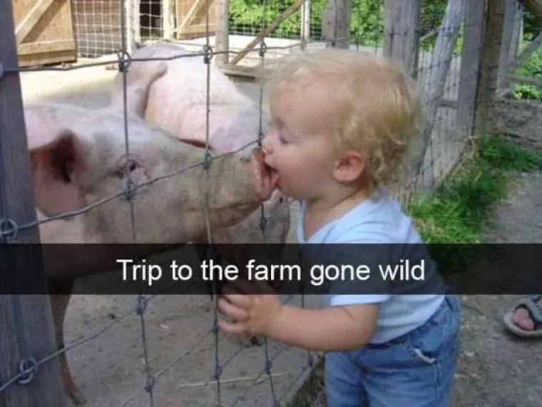 DJECA SU NEPRESU&Scaron;NI IZVOR BRIGE I NEREDA: Pogledajte &scaron;to sve ta mala bića mogu upropastiti...