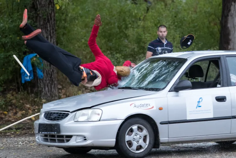 simulacija, borongaj
