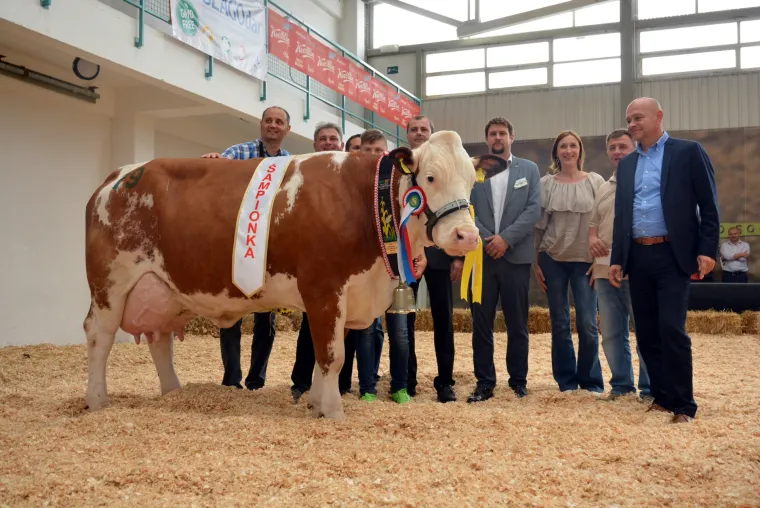 Krava Bambi Tomislava Bukala apsolutna je &scaron;ampionka Jesenskog sajma u Bjelovaru