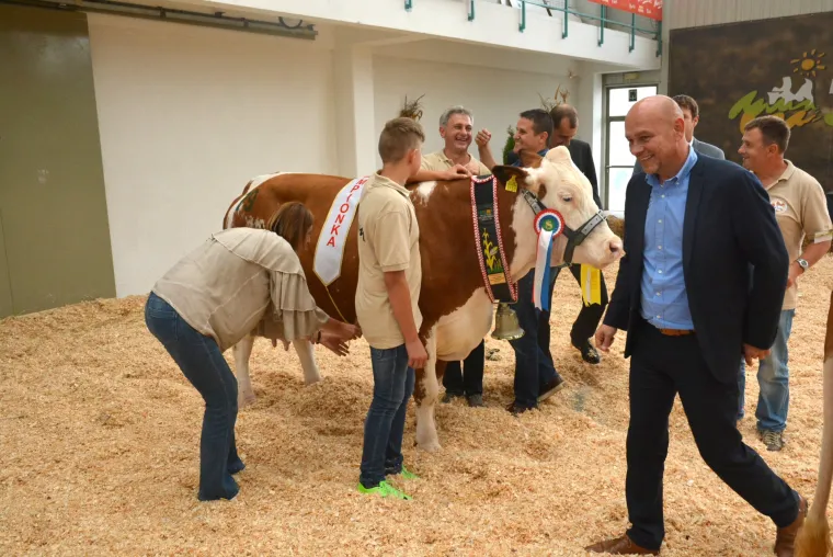 Krava Bambi Tomislava Bukala apsolutna je &scaron;ampionka Jesenskog sajma u Bjelovaru