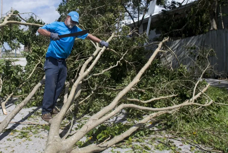 Mu&scaron;karac reže drvo koje je palo nakon &scaron;to ga je i&scaron;čupao uragan Irma na Floridi.
