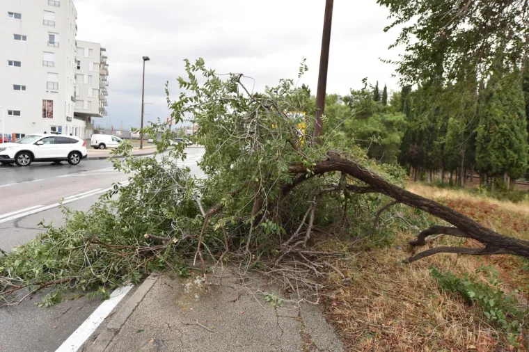 Jako jugo praćeno ki&scaron;om tijekom noći poru&scaron;ilo je nekoliko stabala u &Scaron;ibeniku.