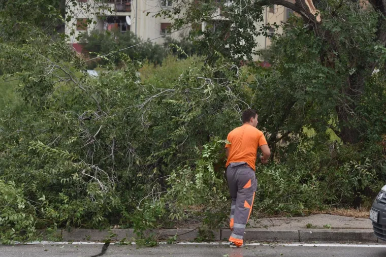 Jako jugo praćeno ki&scaron;om tijekom noći poru&scaron;ilo je nekoliko stabala u &Scaron;ibeniku.