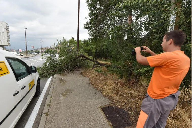 Jako jugo praćeno ki&scaron;om tijekom noći poru&scaron;ilo je nekoliko stabala u &Scaron;ibeniku.