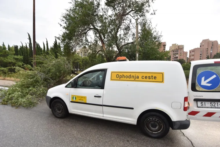 Jako jugo praćeno ki&scaron;om tijekom noći poru&scaron;ilo je nekoliko stabala u &Scaron;ibeniku.