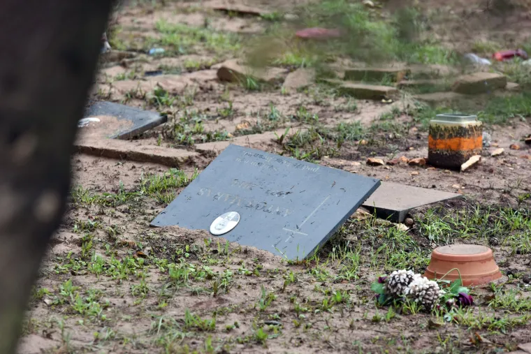 Dramatični prizori iz Zadra: radnici saniraju &scaron;tetu na gradskom groblju kako bi ga osposobiti za pokope