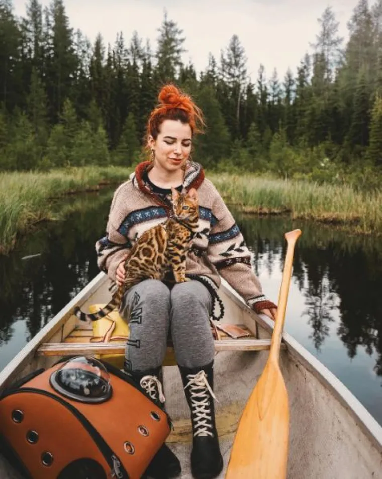 Upoznajte Suki: 'putujuća' mačka živi najljep&scaron;i &scaron;umski san