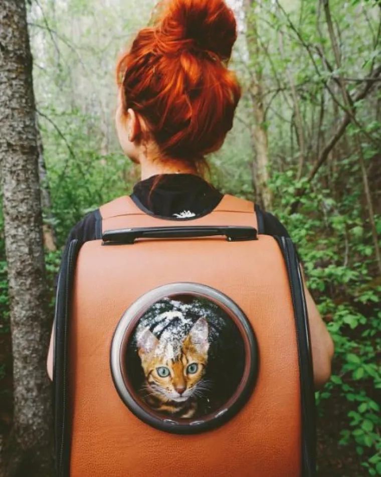 Upoznajte Suki: 'putujuća' mačka živi najljep&scaron;i &scaron;umski san