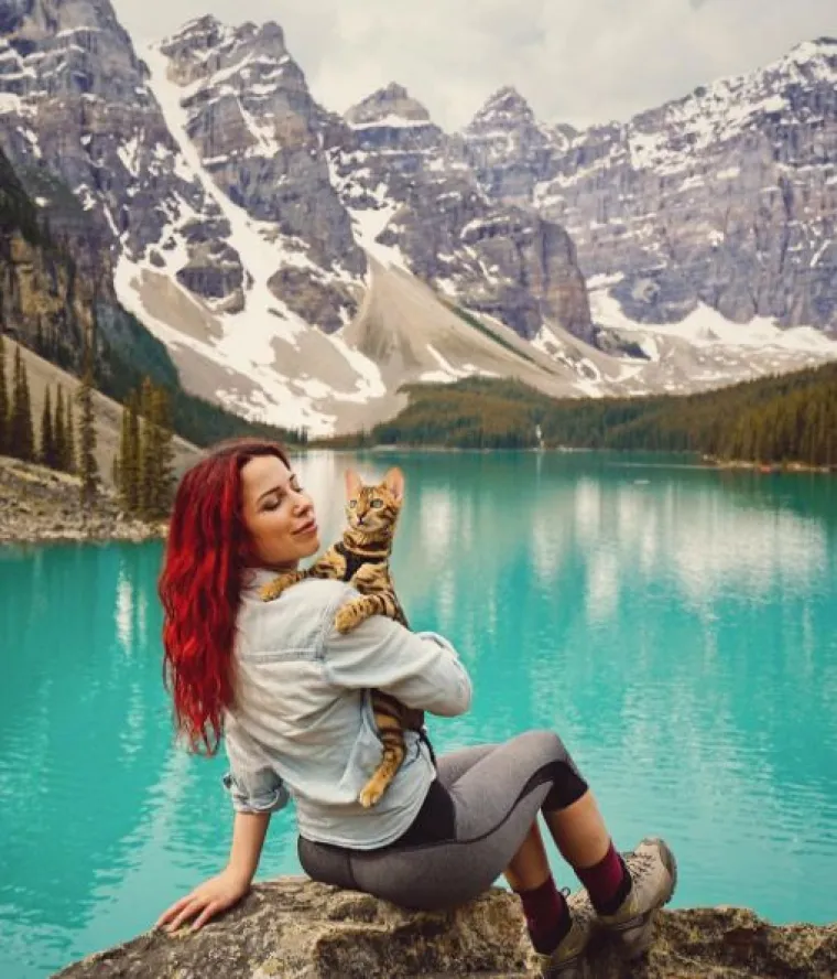 Upoznajte Suki: 'putujuća' mačka živi najljep&scaron;i &scaron;umski san