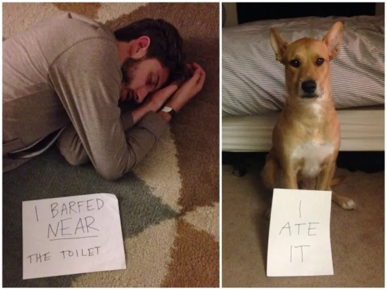 Oni se vikenda ba&scaron; ne sjećaju, ali zato su tu dru&scaron;tvene mreže