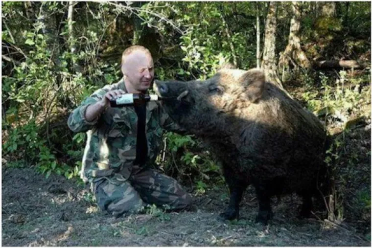 NIJE VOTKA, ALI ONA JE KLJUČNA SIROVINA: Znate li koji je najveći izvozni proizvod Rusije?