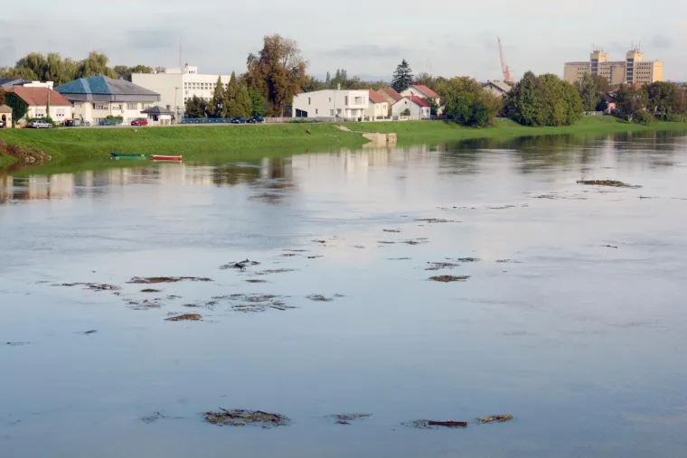 Zbog obilnih ki&scaron;a vodostaj Kupe u stalnom je porastu, a nabujalom rijekom plove brojne naplavine granja i drveća.