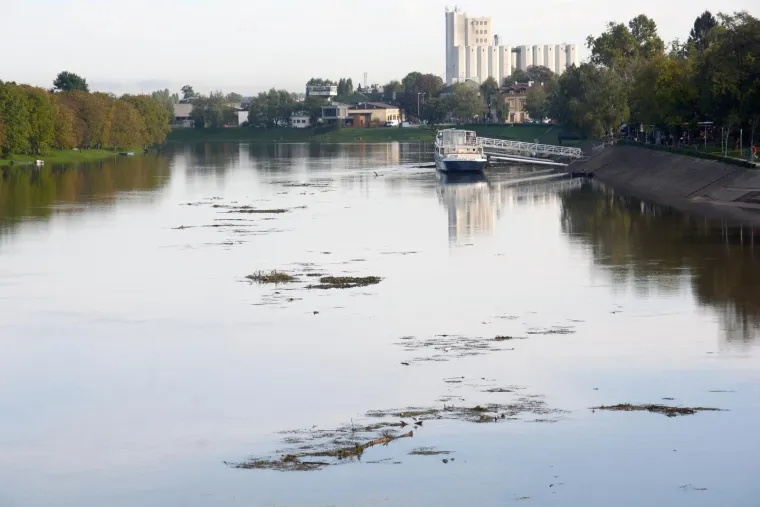 Zbog obilnih ki&scaron;a vodostaj Kupe u stalnom je porastu, a nabujalom rijekom plove brojne naplavine granja i drveća.