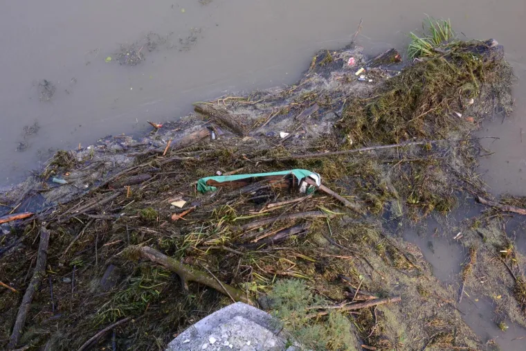 Zbog obilnih ki&scaron;a vodostaj Kupe u stalnom je porastu, a nabujalom rijekom plove brojne naplavine granja i drveća.