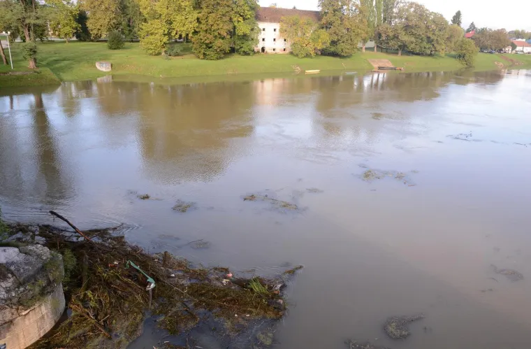 Zbog obilnih ki&scaron;a vodostaj Kupe u stalnom je porastu, a nabujalom rijekom plove brojne naplavine granja i drveća.