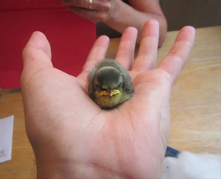 PA KAKO IH SHVATITI OZBILJNO: Znate onog prijatelja koji je smije&scaron;an i kad je bijesan k'o ris?