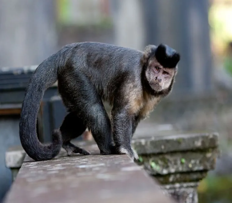 PA KAKO IH SHVATITI OZBILJNO: Znate onog prijatelja koji je smije&scaron;an i kad je bijesan k'o ris?