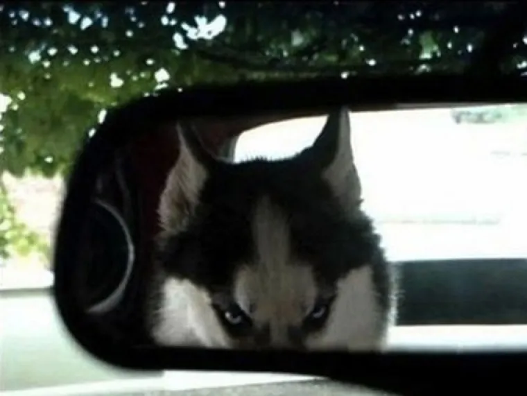 PA KAKO IH SHVATITI OZBILJNO: Znate onog prijatelja koji je smije&scaron;an i kad je bijesan k'o ris?